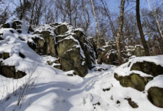 Querxenloch景点图片