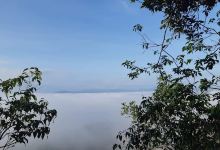 Bukit putih Kuwingmerah景点图片