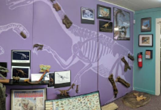 White Mountain Dinosaur Exploration Center景点图片