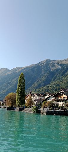 因特拉肯城堡-因特拉肯