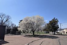 Riverside Park景点图片