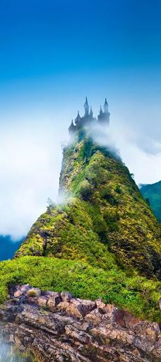 West Maui Forest Reserve-茂宜县