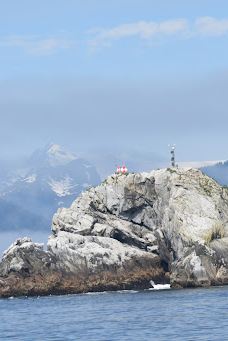 Kenai Fjords Tours-西沃德