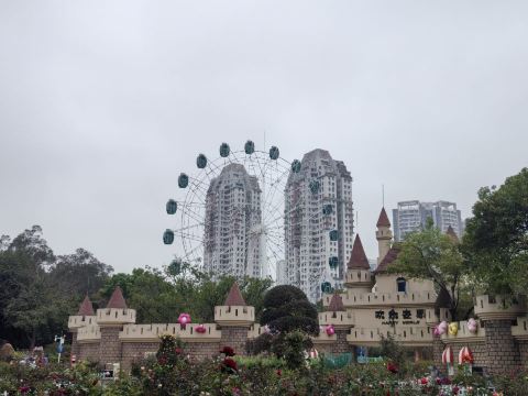 广州动物园景点图片 19