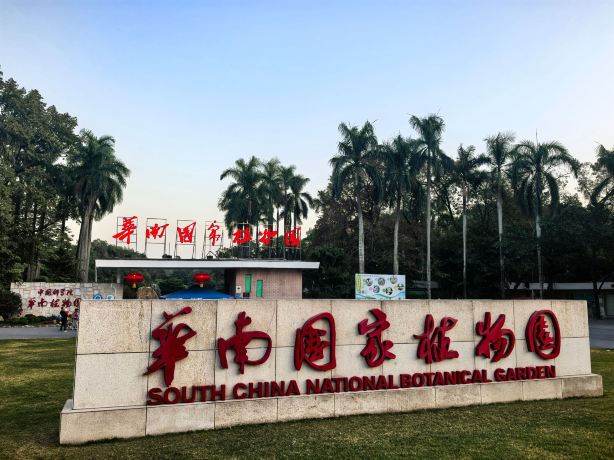 华南植物园景点图片 18