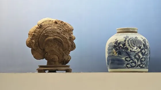 可樂馬古典傢俱博物館