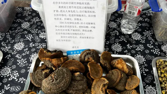 18號公路旅遊驛站
