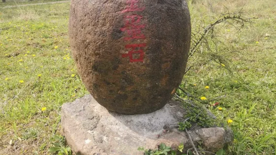 金蛋石