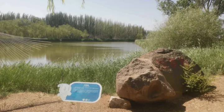 黃河三盛公國家水利風景區-月亮湖