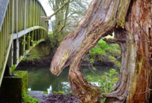 Cole End Park and nature reserve景点图片