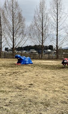 Akasaka General Park-横手市