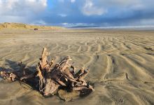 Sandy Point Domain景点图片