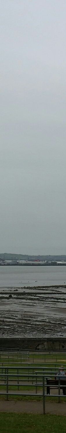 Hazelbank Park-纽敦阿比