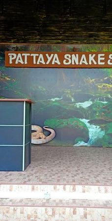 Dong Tam Snake Farm-周城县