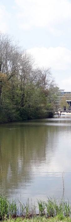 Park De Wezenlanden-兹沃勒