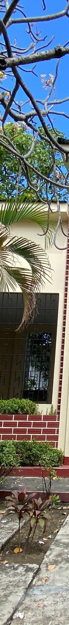 华侨义山-马尼拉市