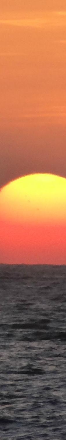 阿贡达海滩-雅高达