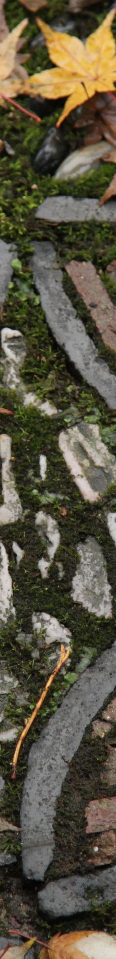 兰苏中国花园-波特兰