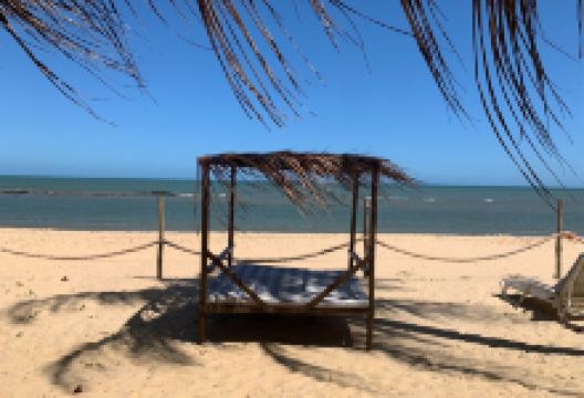 Tartarugas Beach景点图片