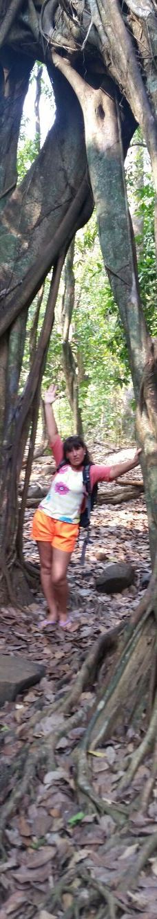 Cotigao保护区-南果阿县