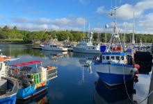Stornoway Harbour景点图片