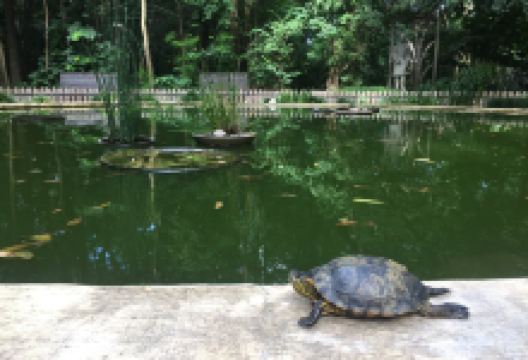 Museo Miguel Lillo De Ciencias Naturales景点图片