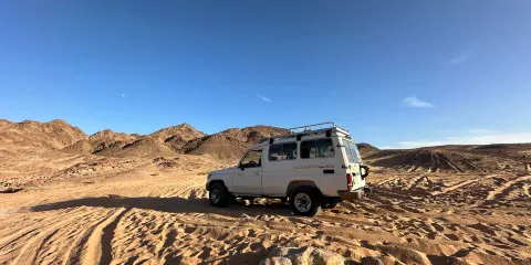 Plaza Safari Excursions