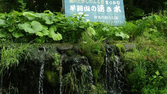 Yoteino Wakimizu