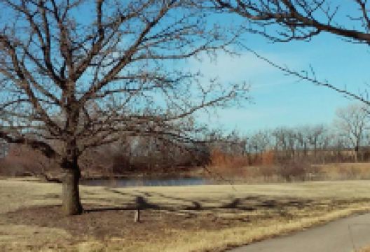 戴克平原植物園景点图片