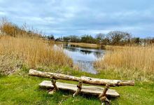 NABU-Wasservogelreservat Wallnau景点图片