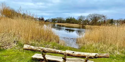 NABU-Wasservogelreservat Wallnau