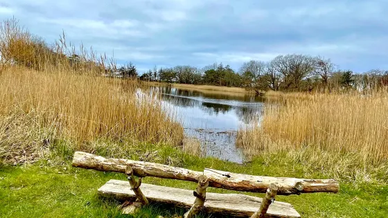NABU-Wasservogelreservat Wallnau