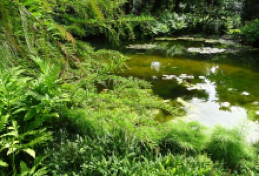 Pinetum Blijdenstein景点图片