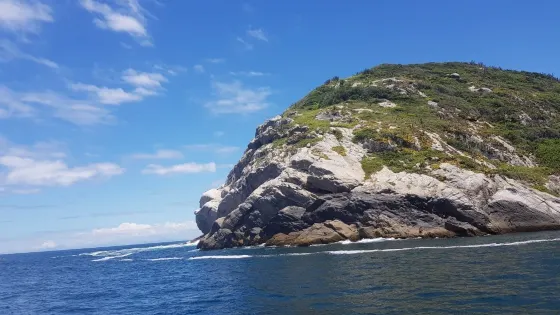Pedra Perfil do Gorila
