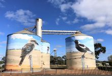 Waikerie Silo Art景点图片
