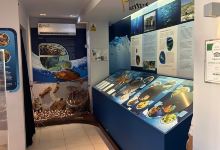 Dwejra Marine Environmental Education Centre景点图片
