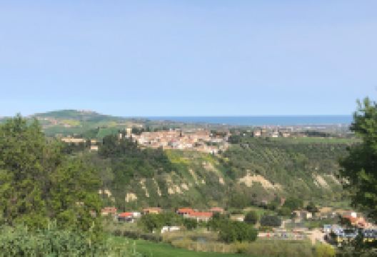 Ex Convento di Sant'Antonio Abate景点图片