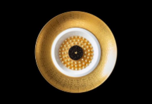 Gastronomy “Joël Robuchon”美食图片