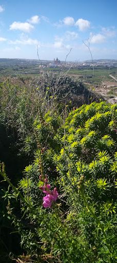 Ta' Kenuna Tower-纳杜尔