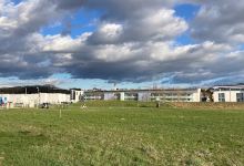 Hundefreilaufzone Stadt Ansfelden - Stadtteil Ansfelden景点图片