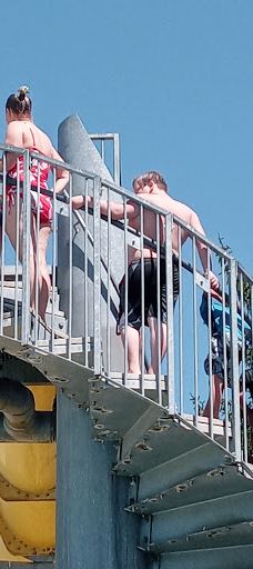 Swanson Park-奥尔巴尼