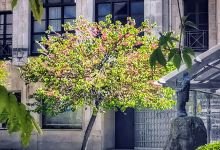 Plaza de Pequeñeces景点图片