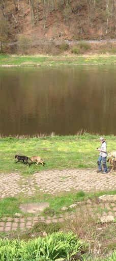 Campingplatz am Treidlerweg-柯尼希施泰因