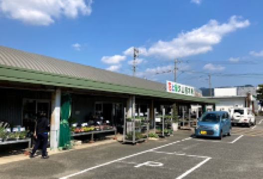 Flower & Green HISAYAMAUEKI购物图片