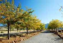 COLINA ERMITA景点图片