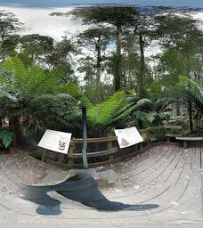 Tall Trees Walk-Mount Field