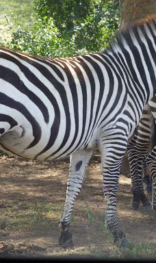 Adventure Africa Expedition-内罗毕