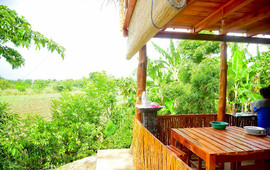 Jungle Cabin Restaurant Udawalawa
