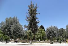 Plaza Eduardo Avaroa景点图片