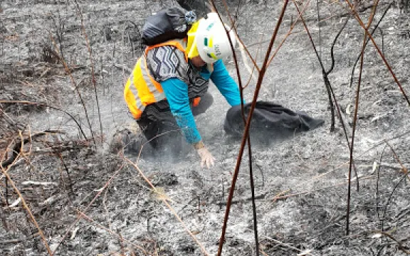 Tilligerry National Park